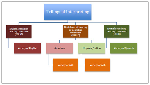 Complexities of Trilingual Interpreting